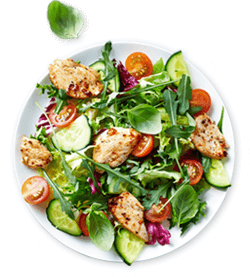 Paleo Ernährungsplan Kochplan